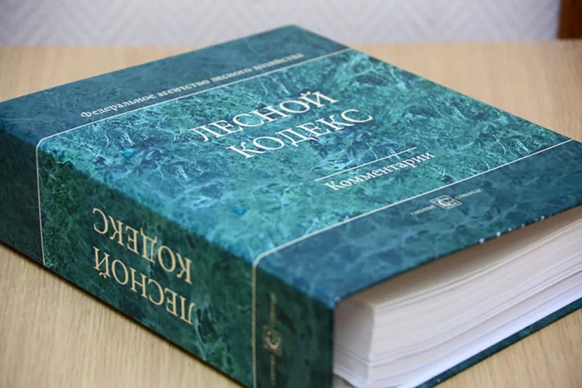 С момента принятия Лесного кодекса 2006 года в него внесли 79 наборов поправок — документ фактически изменён на 91%. Эксперт по лесам Алексей Ярошенко считает, что кодекс нужно заменить и существенно упростить.