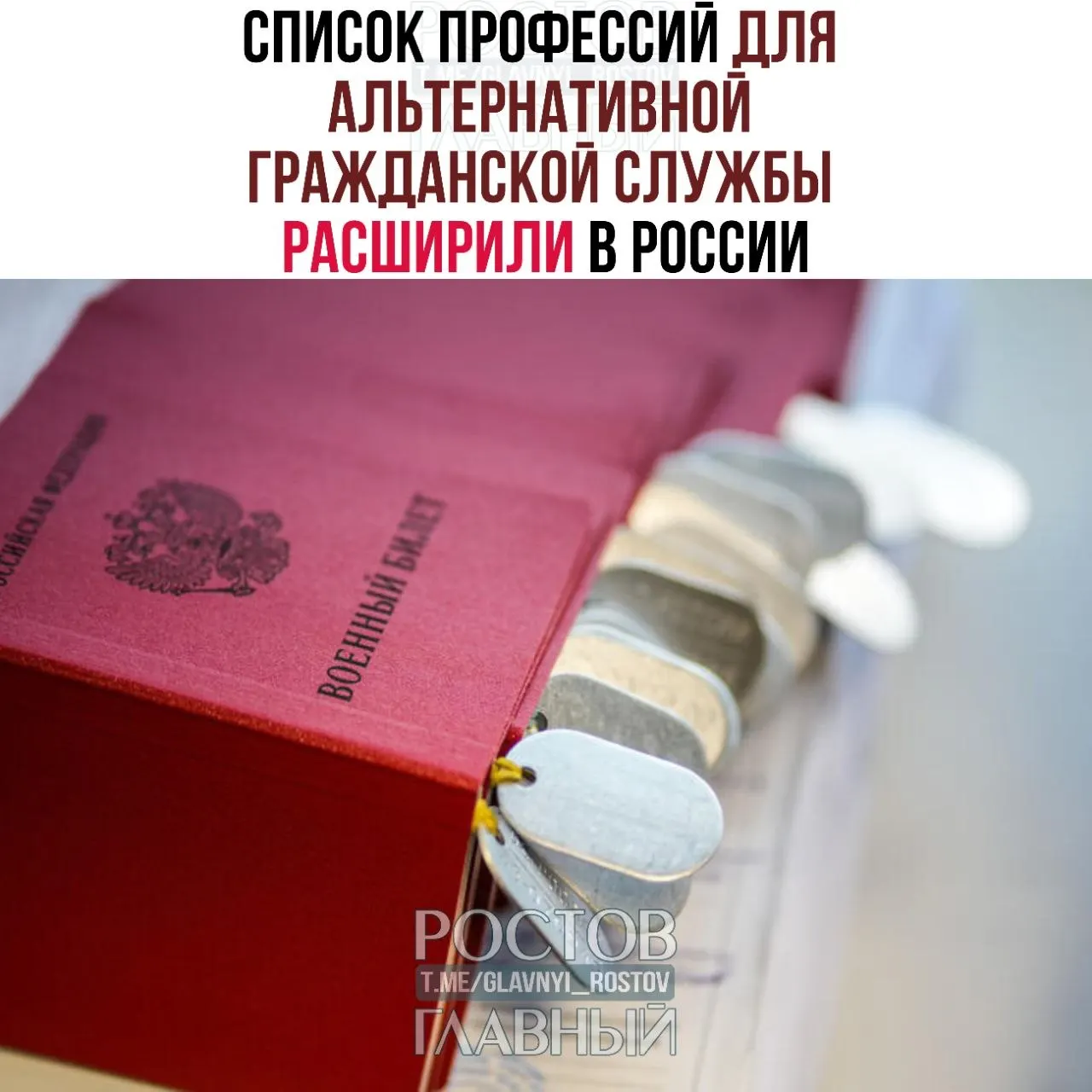 Перечень профессий для альтернативной гражданской службы увеличен с 271 до 363 позиций: в него включены медики, технические специалисты и рабочие профессии, в том числе водолазы и настройщики пианино.