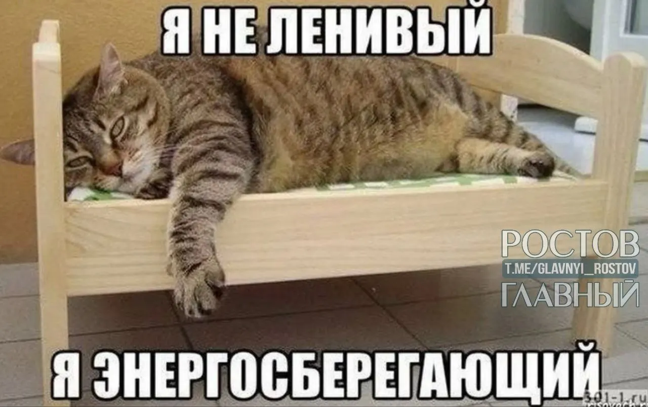 В опросе жители Нижнего Новгорода, Перми и Воронежа чаще всего высказались за сокращённый шестичасовой рабочий день; петербуржцы — за полное отсутствие работы, а на юге (Краснодар и Ростов‑на‑Дону) сосредоточены самые трудолюбивые респонденты.