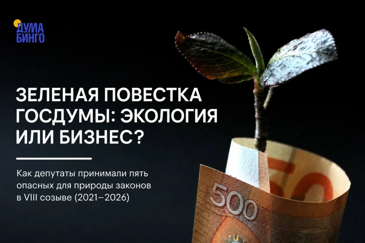 Анализ пяти лет законодательной практики показывает, что ряд законов и поправок в Госдуме ослабил природоохранные нормы — чаще всего эти инициативы проходили при поддержке правящей фракции.
