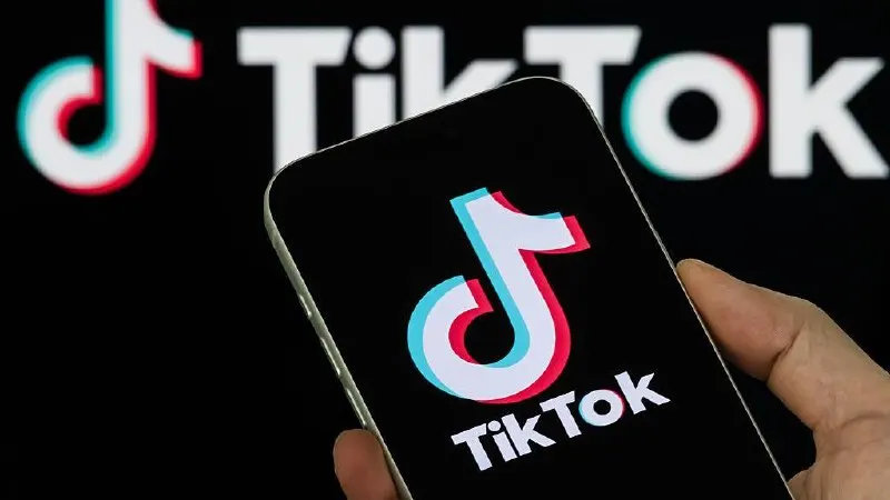 Платформу наказали после того, как она не удалила два видео, которые власти сочли «пропагандой нетрадиционных сексуальных отношений».