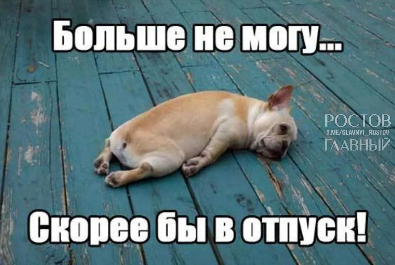 В Госдуме предложили поднять минимальную продолжительность ежегодного отпуска с 28 до 35 дней, чтобы компенсировать включение выходных в отпуск и снизить риск выгорания.