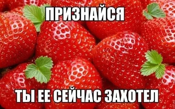 Ярмарки перейдут на летний режим: мясо и молочная продукция в жару не будут продаваться, зато можно купить свежие овощи, фрукты, ягоды, зелень и хлеб. Работа — с 8:00 до 15:00.