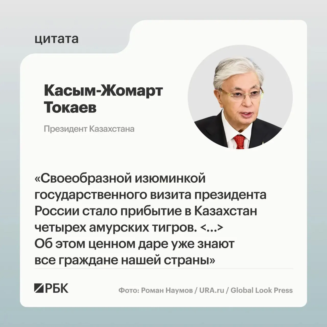 Казахстан обратился с просьбой о помощи в восстановлении популяции амурского тигра, и Россия передала в дар семейство тигров — презентацию о животных показали президентам двух стран.