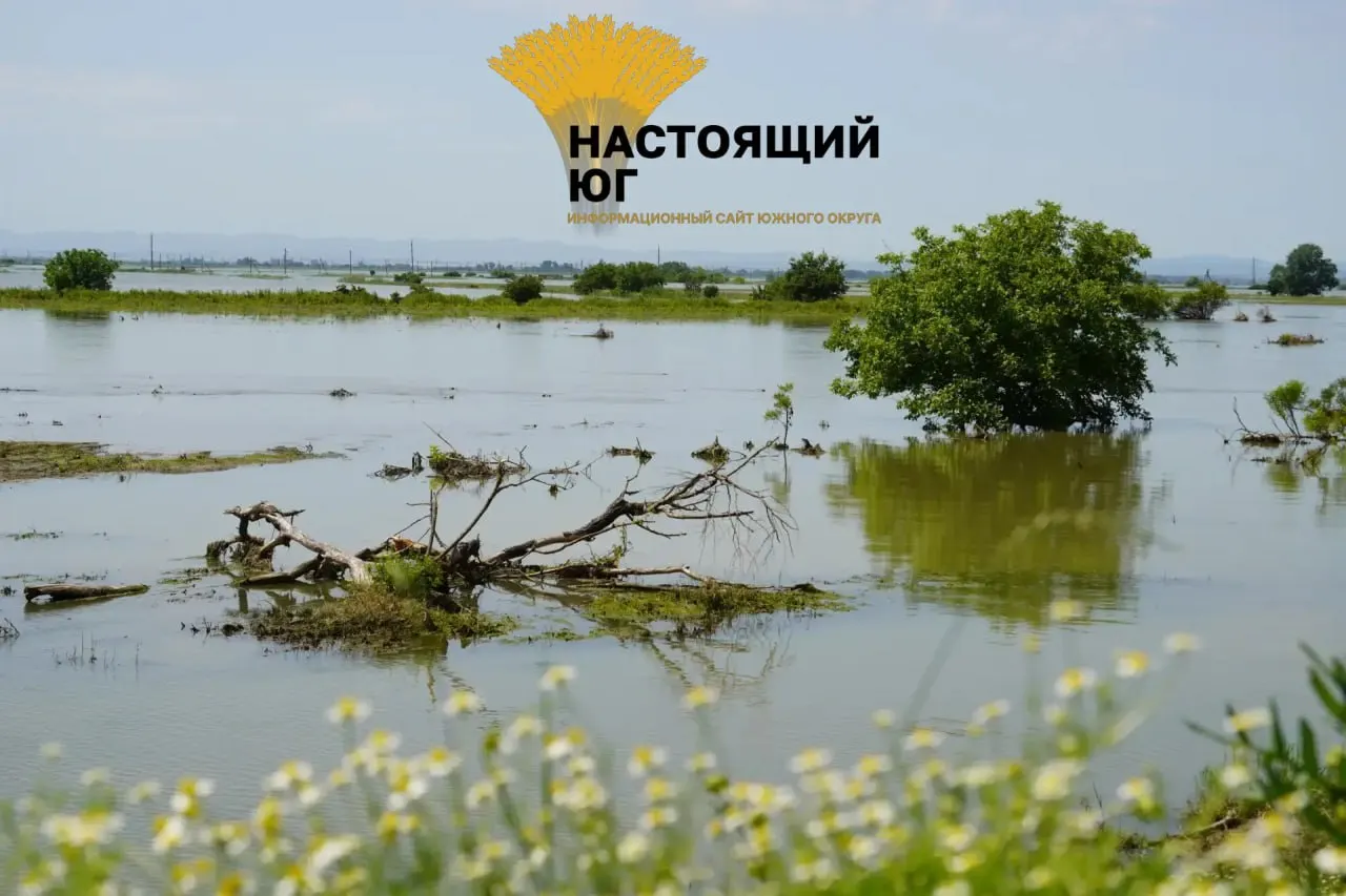 В Крымском районе действует режим ЧС: из-за прорыва дамбы на реке Кубань подтоплены более 10 тысяч гектаров. В хуторе Западный круглосуточно откачивают воду, ширина прорыва около 100 метров.