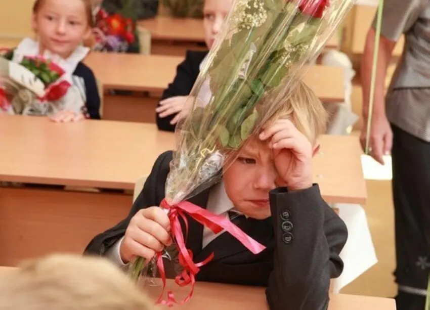Заместитель главы Минпросвещения сообщил, что 11 лет признаны оптимальным сроком для школьного образования; сокращать или увеличивать его не планируется, а все стандарты будут строиться с расчётом на 11 классов.