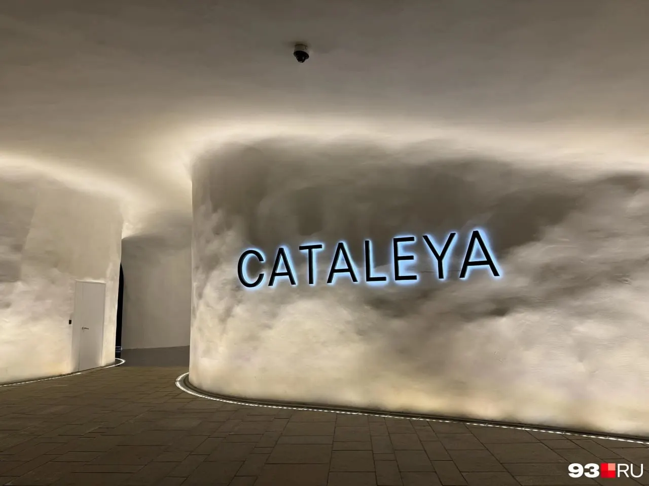 В середине июля в Парке облаков откроется ресторан‑оранжерея Cataleya с меню, разработанным совместно с врачом‑нутрициологом. Сейчас команда набирает персонал.