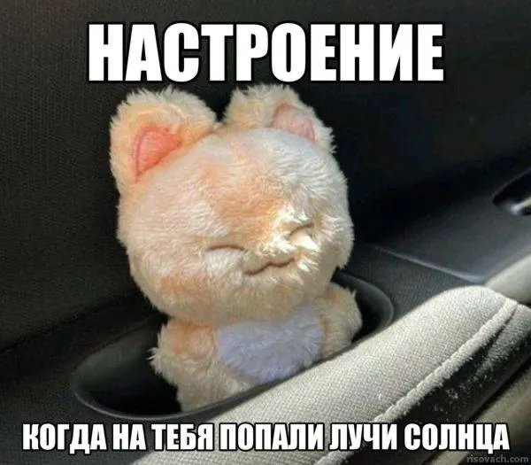 В рейтинге указали, что в Чите 244 солнечных дня в году; в подборке также оказались Хабаровск, Якутск, Улан‑Удэ, Владивосток, Астрахань, Омск, Уфа, Краснодар и Иркутск.