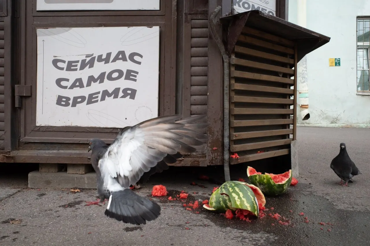 В Петербурге и Ленобласти заочно оштрафовали священника Михаила Букина за антивоенное заявление; обсуждаются выборы и другие важные политические повестки в России и мире.