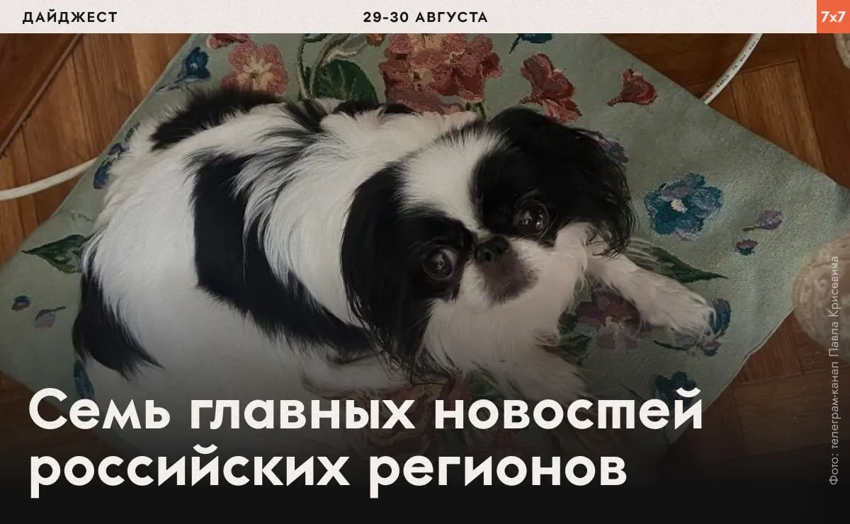 За неделю зафиксированы аресты и давление на активистов, ограничения СМИ и новые региональные запреты.