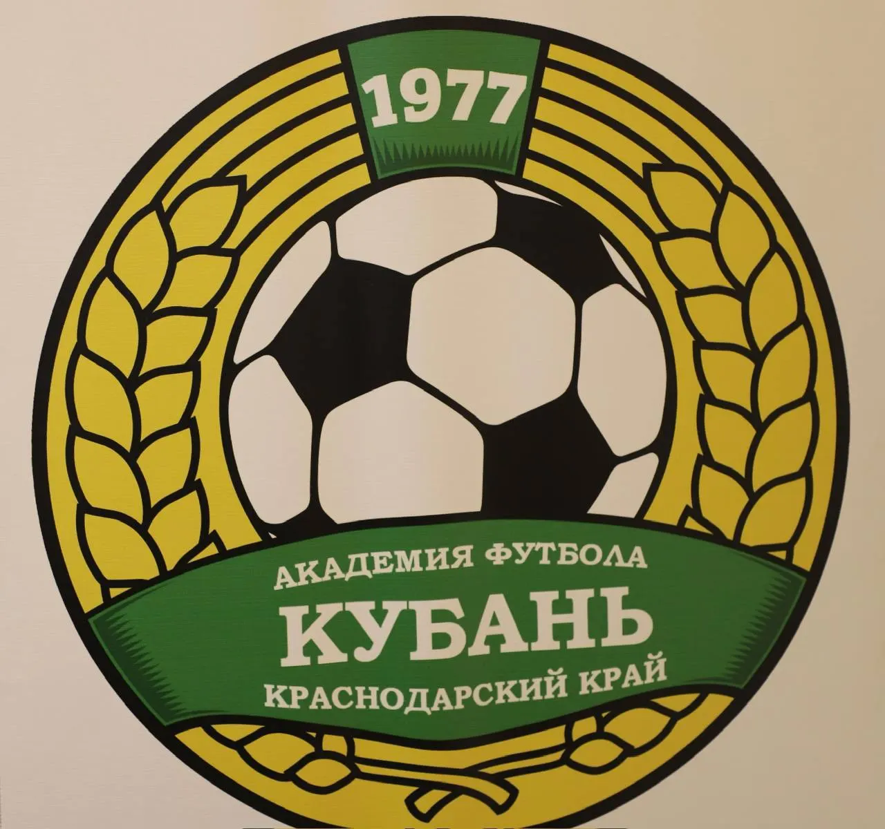 Министерство спорта Краснодарского края планирует разработать концепцию возвращения клуба после банкротства в 2018 году, с упором на развитие инфраструктуры, работу тренерского штаба и музей клуба.