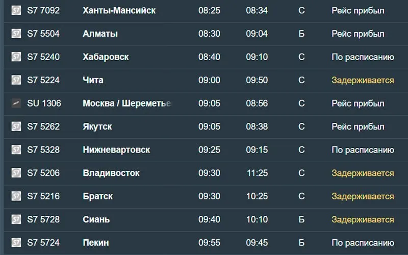 Утром 18 августа в Новосибирск задержаны 14 рейсов. Задержки затронули пассажиров из нескольких городов, включая Санкт-Петербург, Читу и Москву.