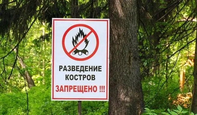 Разъяснены правила пикников и пожарной безопасности во время введённого особого противопожарного режима в Сочи; режим действует до 1 ноября.