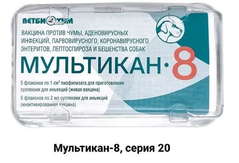 Владельцы погибших питомцев требуют огласки и независимой экспертизы вакцины против Ауески, подозревая производственные и лабораторные нарушения.