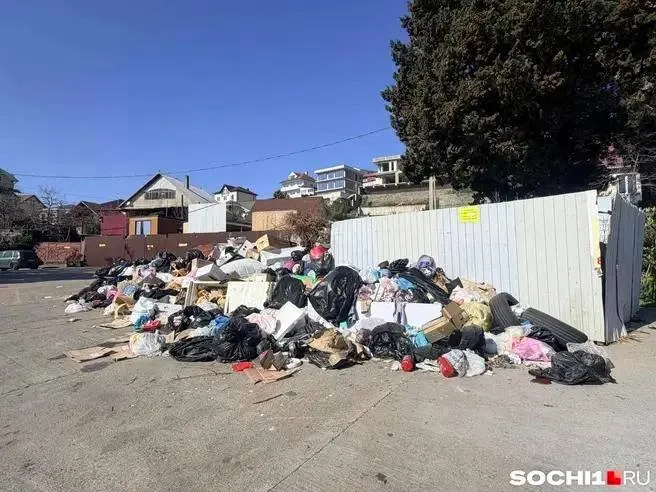 В регионе подорожает вывоз мусора: тарифы в Сочи и Сириусе повысятся с 1 октября, сравнение тарифов с соседними муниципалитетами.