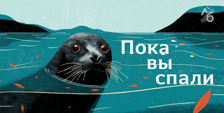 Краткая подборка региональных событий: от альпинистской трагедии на Кавказе до политических заявлений и изменений в экономике.