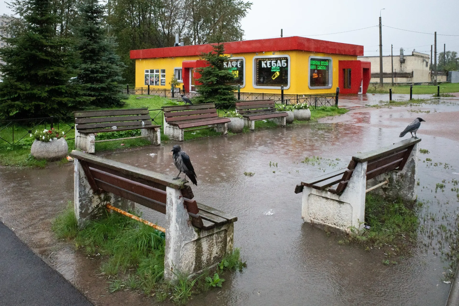 Короткий дайджест событий в Петербурге, по России и за рубежом: разводы, политические заявления и инциденты, а также обновления на фронте.