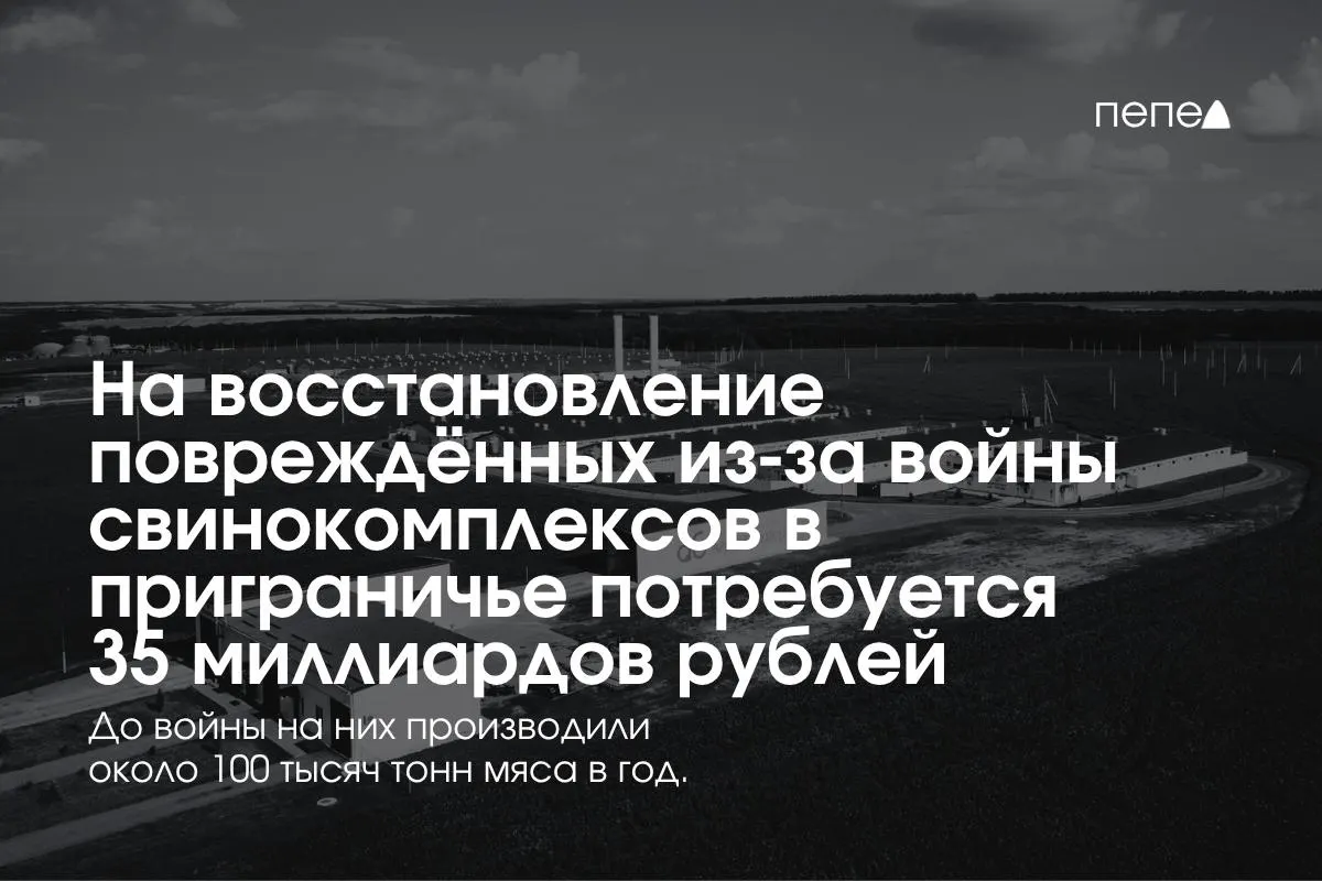 В Белгородской, Курской и Брянской областях планируется реконструкция свиноводческих предприятий после обстрелов; совокупные траты достигают 35 млрд рублей, часть отрасли была вынуждена прекратить работу.