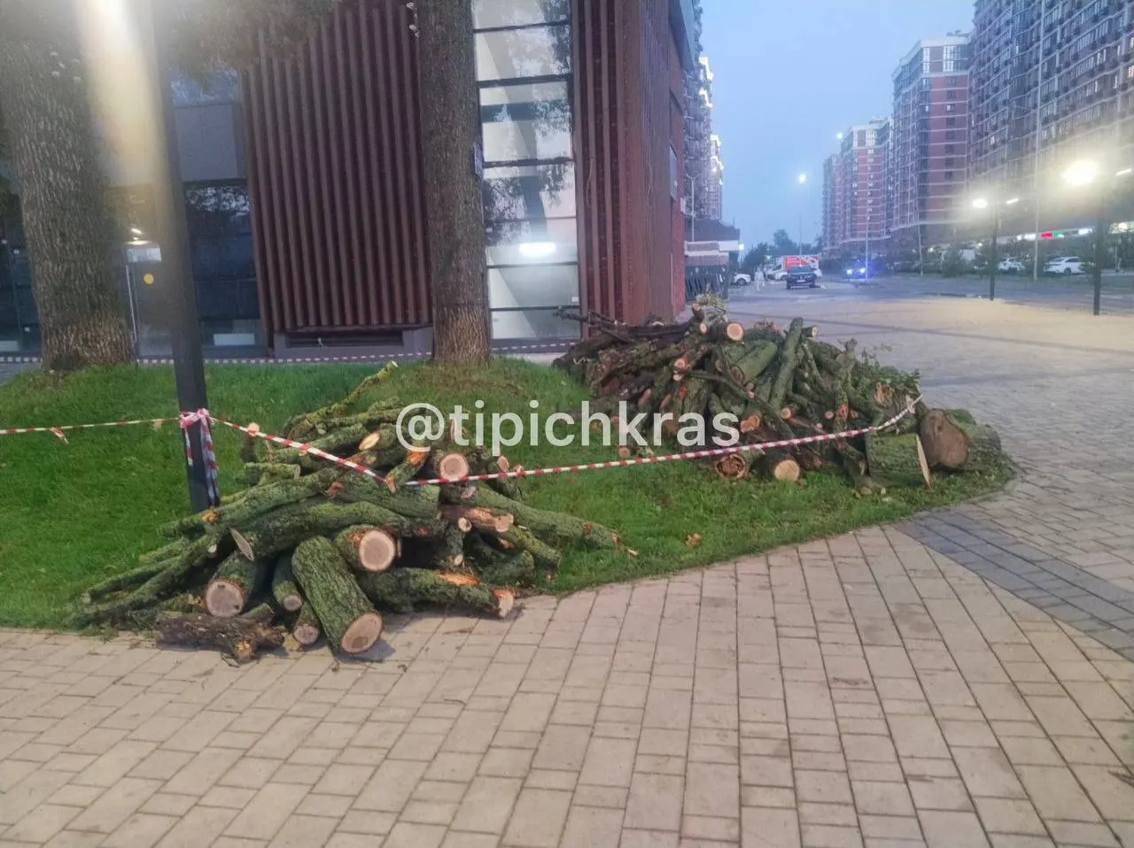 Местные жители сообщают об уничтожении дубовых деревьев вокруг жилого комплекса «Самолёт 5» в Прикубанском округе и призывают власти обратить внимание на экологическую угрозу.