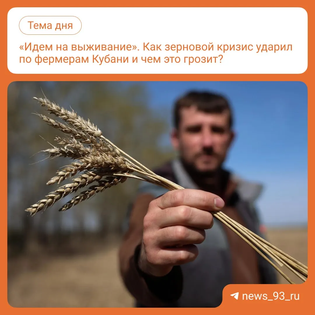 Из-за ограничений экспорта зерна урожай на Кубани скапливается на складах, цены закупки падают, что приводит к убыткам производителей.