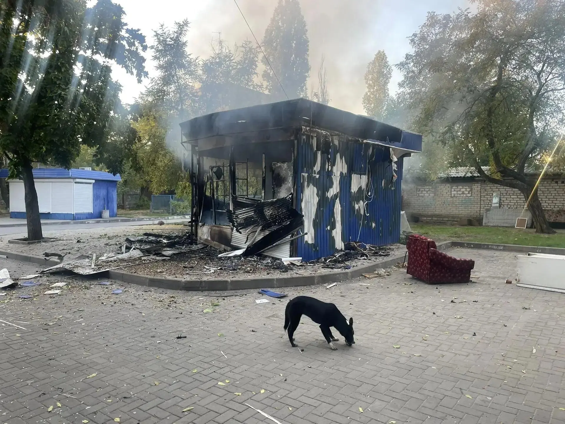 Ночные атаки беспилотников прокатились по территории страны; основная волна — в центральной части. Зафиксированы погибшие, раненые и пожары.